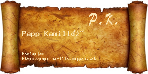 Papp Kamilló névjegykártya